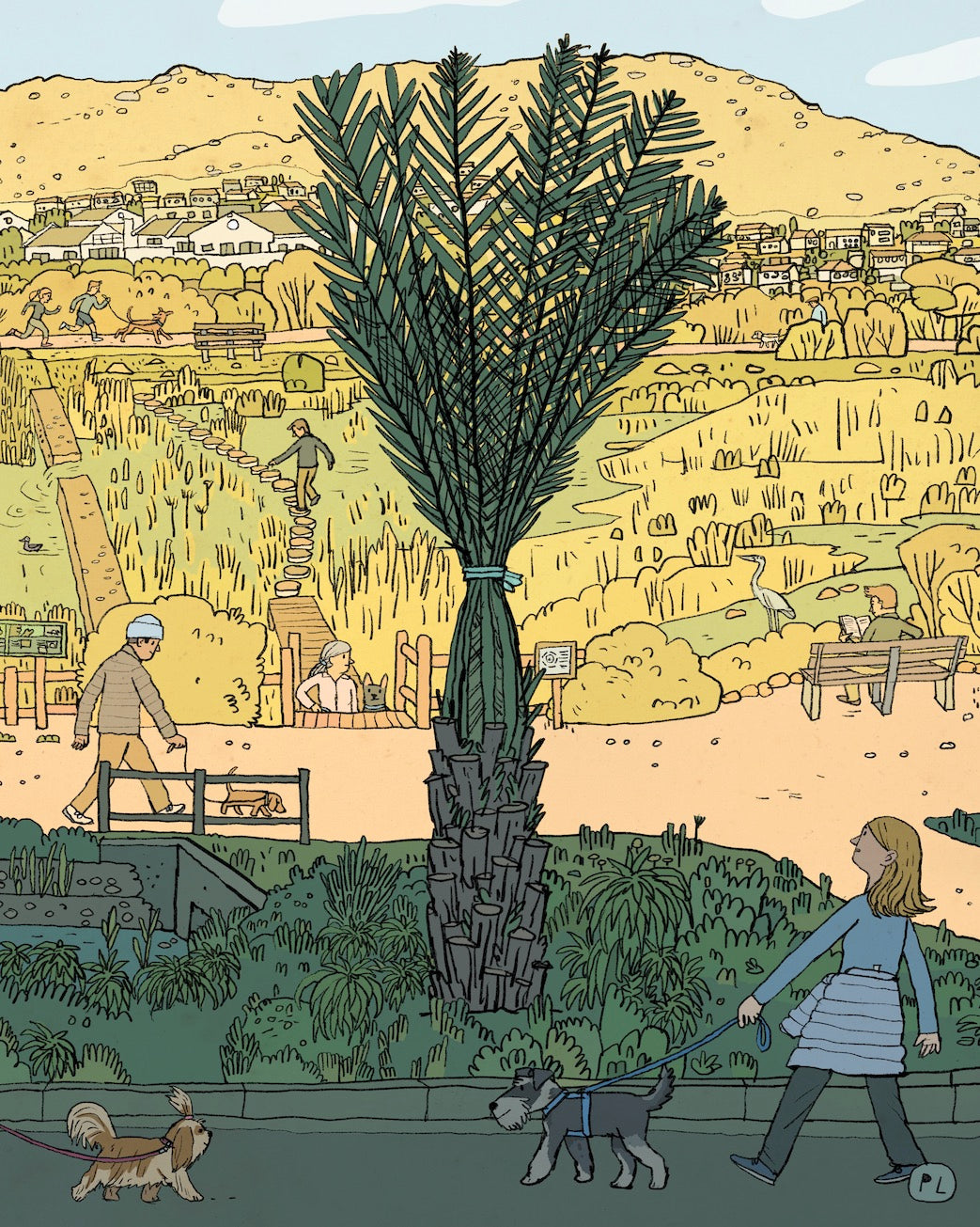 Daily Drawing - Clovelly Palm Tree