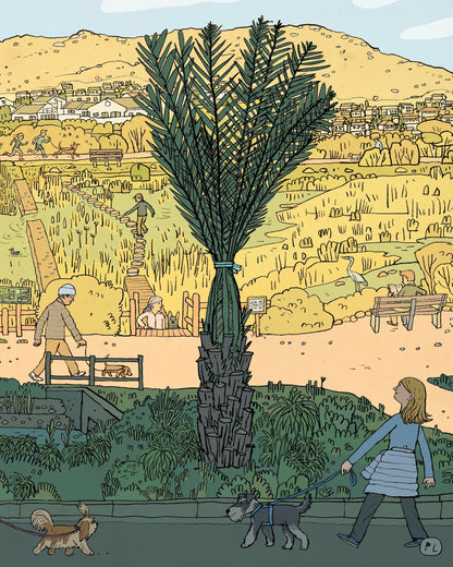 Daily Drawing - Clovelly Palm Tree