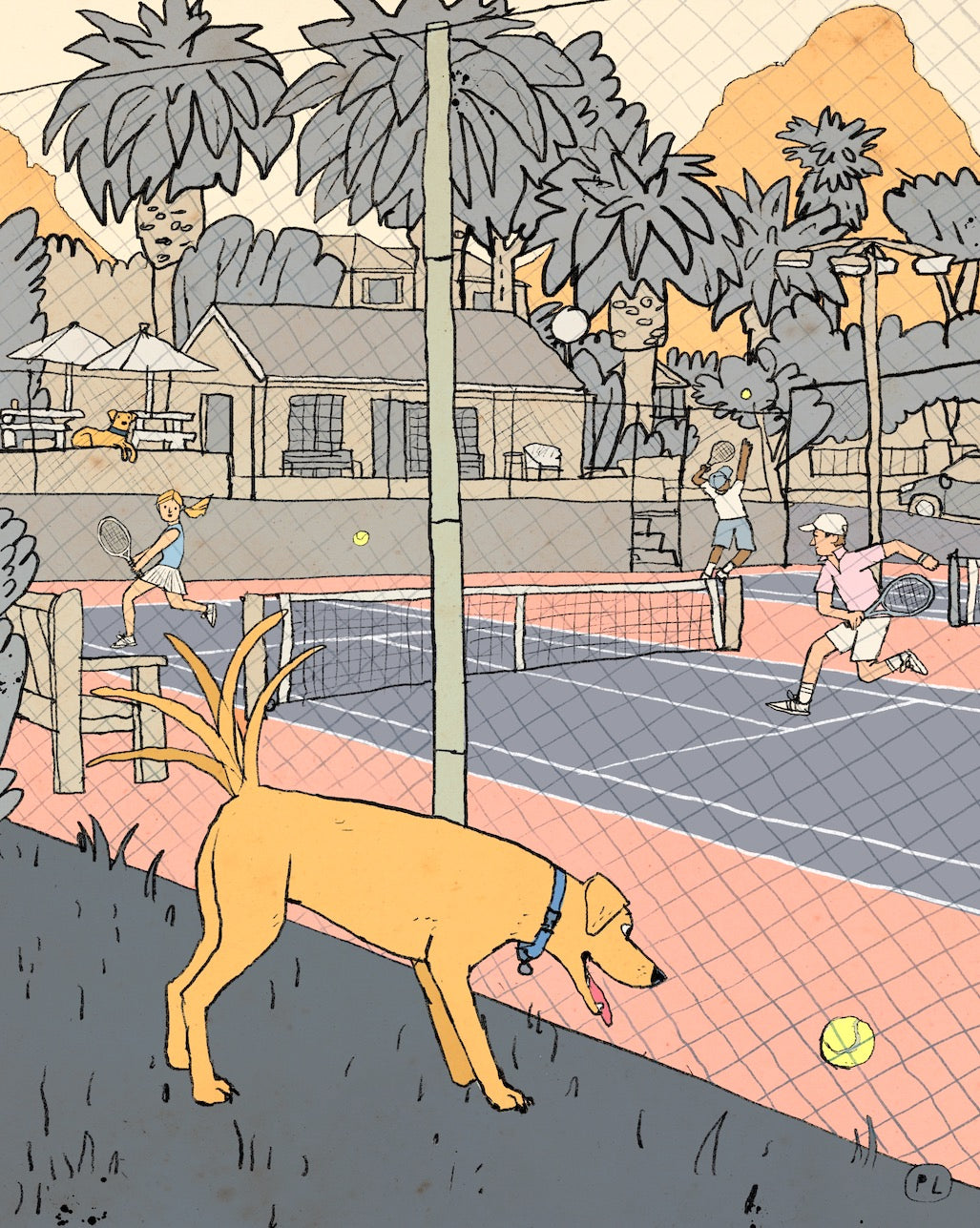 Daily Drawing - Tennis Court Dog