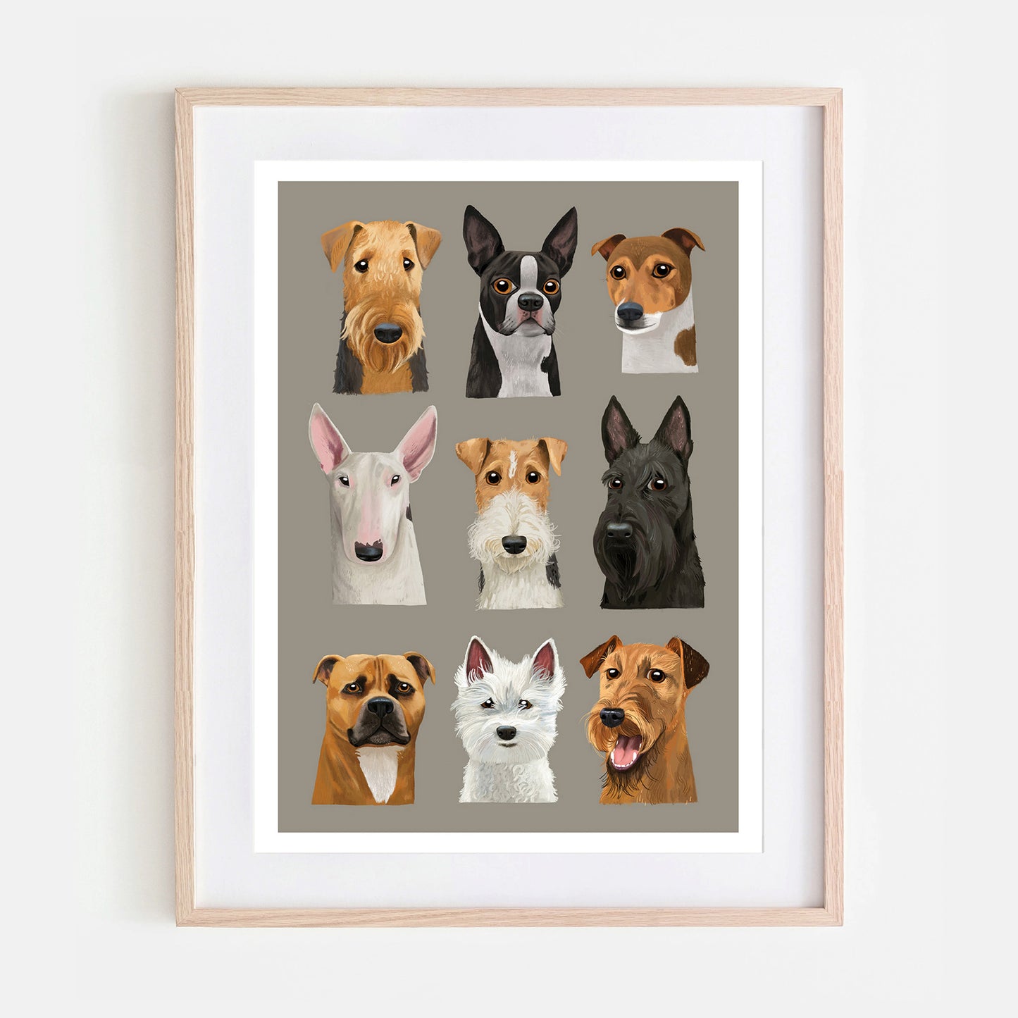 Terriers