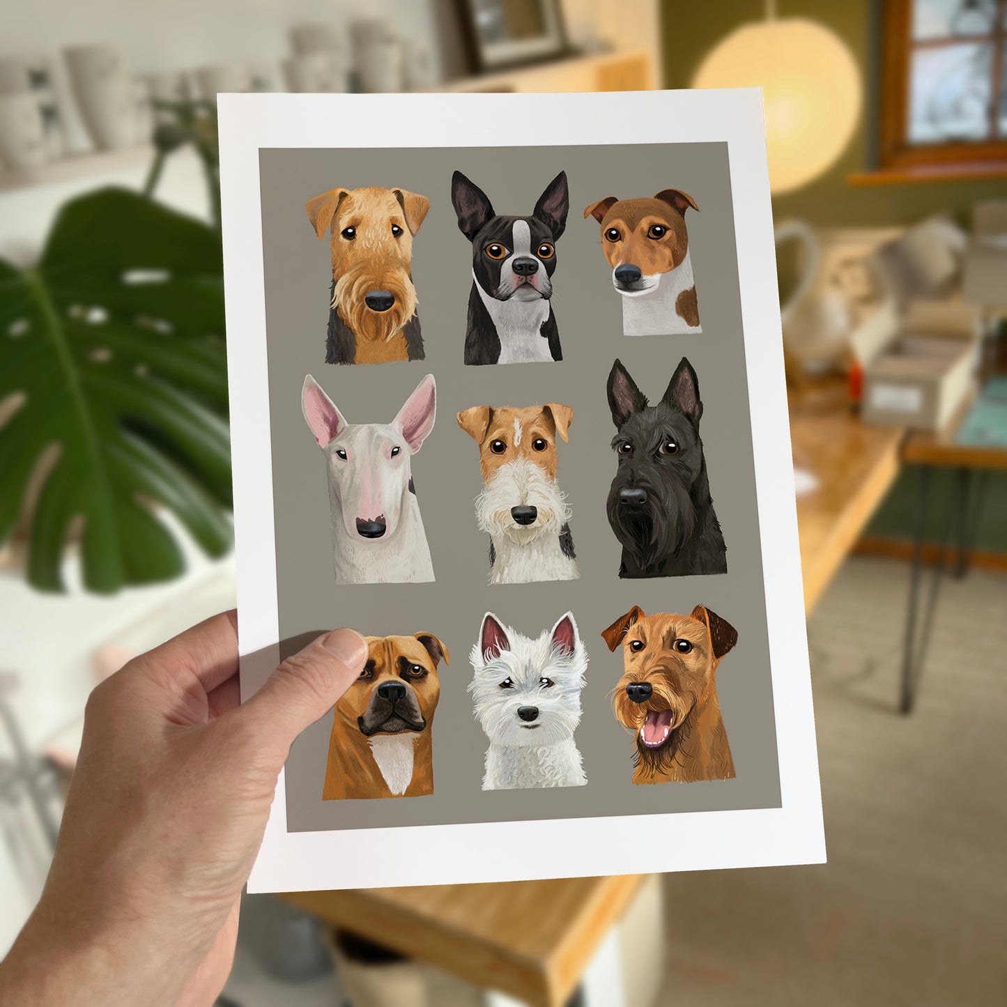Terriers