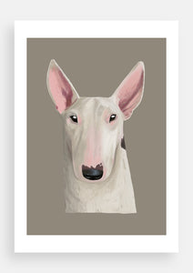 Bull terrier