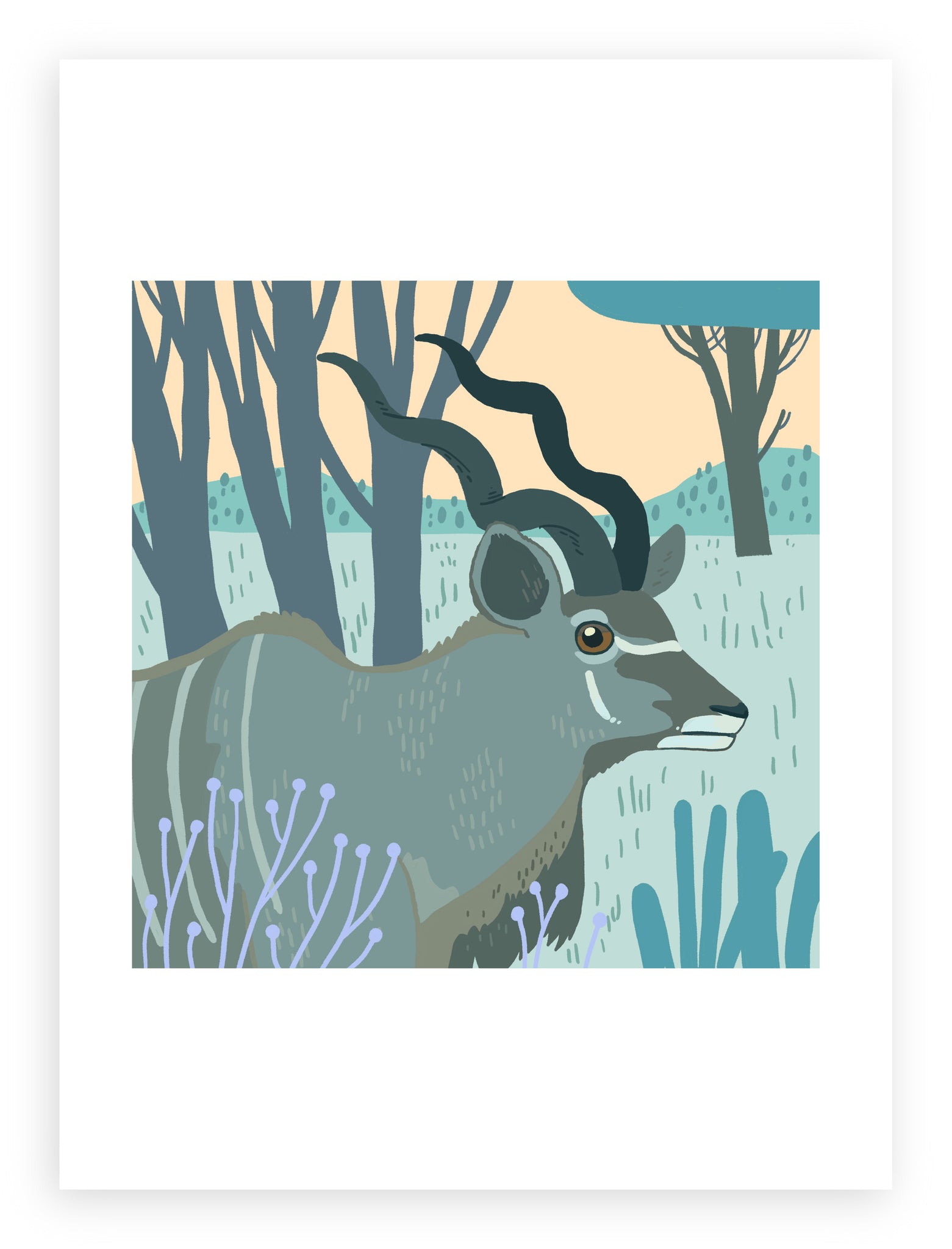 South African Animals (square) Kudu