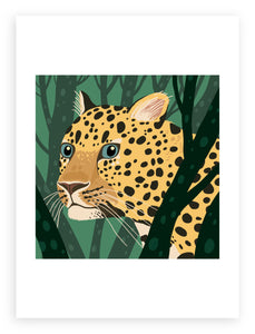 South African Animals (square) Leopard