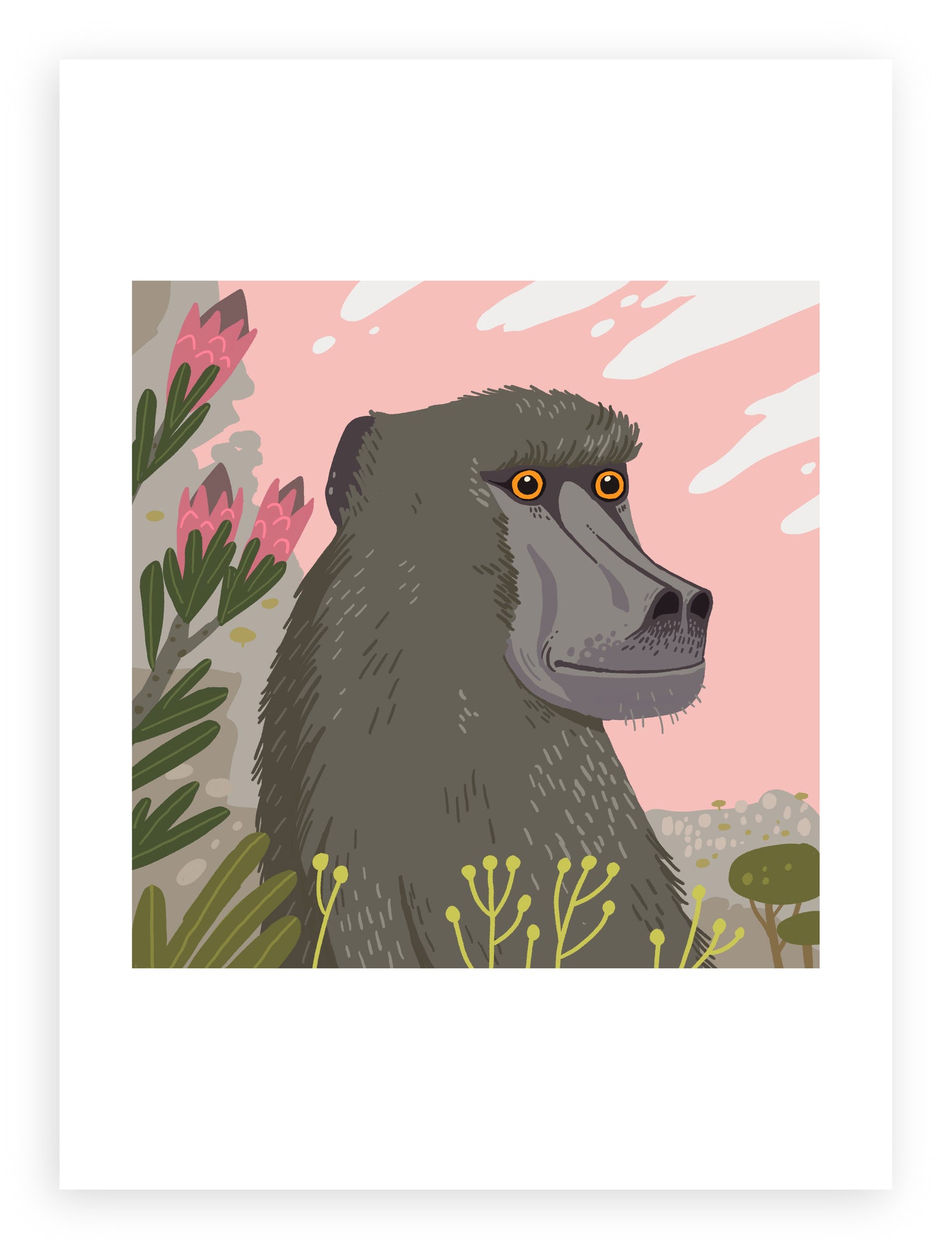 South African Animals (square) Baboon