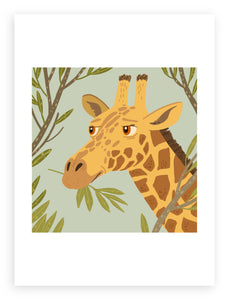 South African Animals (square) Giraffe