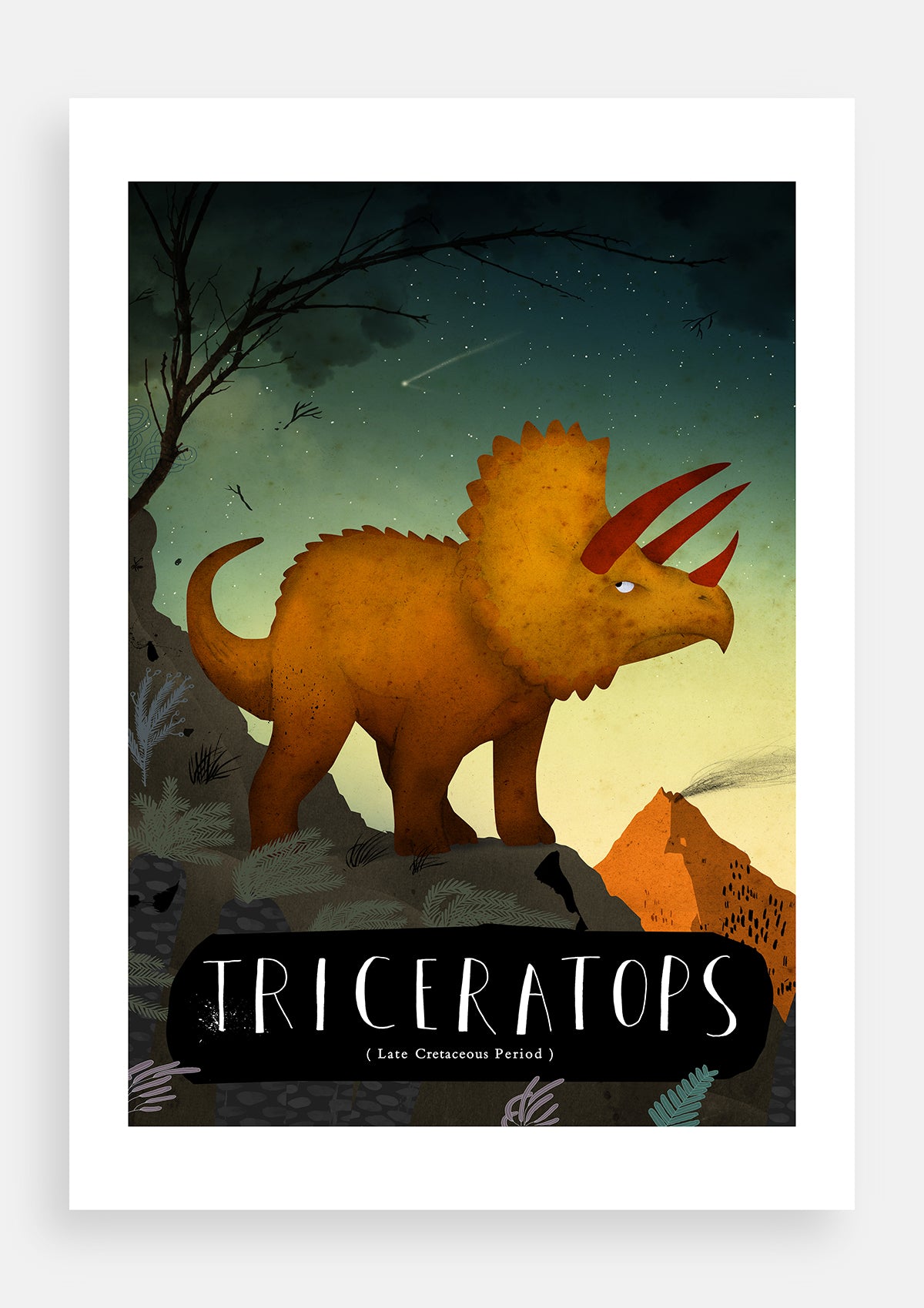 Triceratops